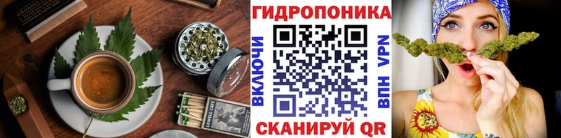 как найти наркотики  mega сайт  Cannafood марихуана  Гаджиево 