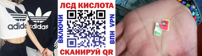 Наркотические марки 1,5мг  kraken зеркало  Гаджиево  где купить наркоту 