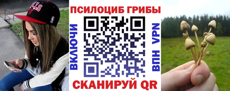 блэк спрут онион  даркнет сайт  Гаджиево  Галлюциногенные грибы Magic Shrooms 